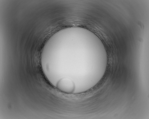 X0000111660030200907171129