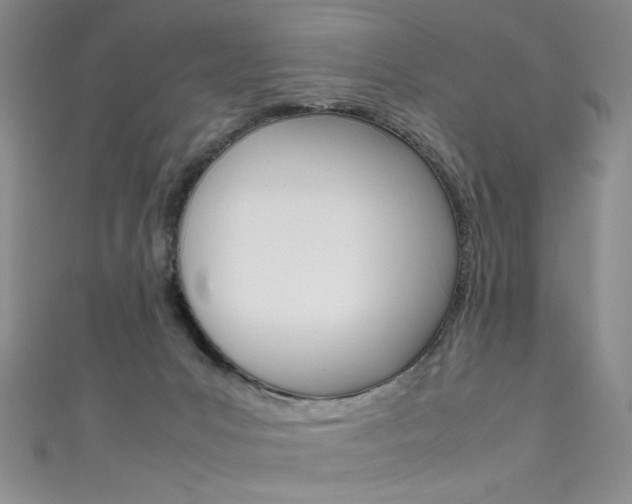 X0000111660031200907171129
