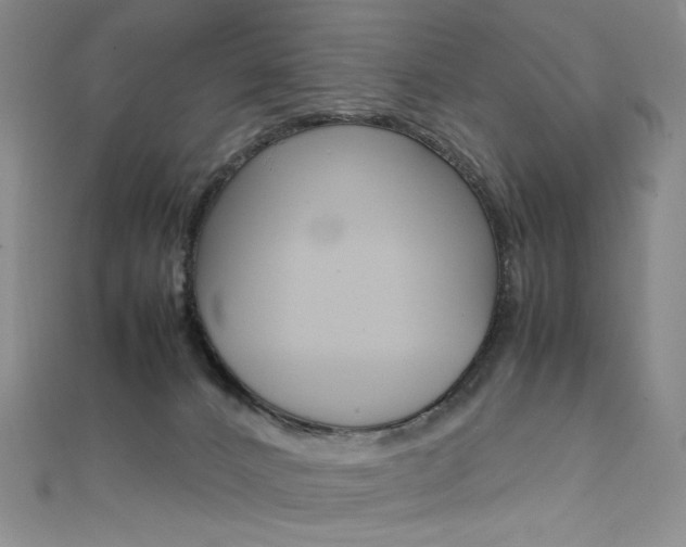 X0000111660032200907171129