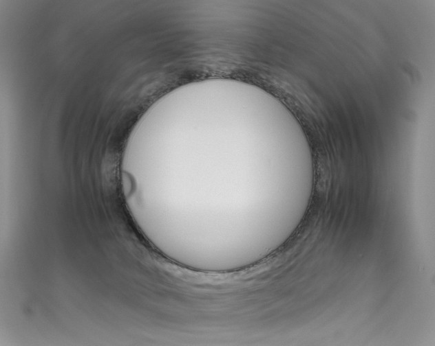 X0000111660034200907171129