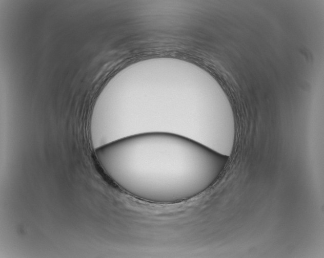 X0000111660035200907171129