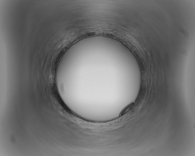 X0000111660039200907171129