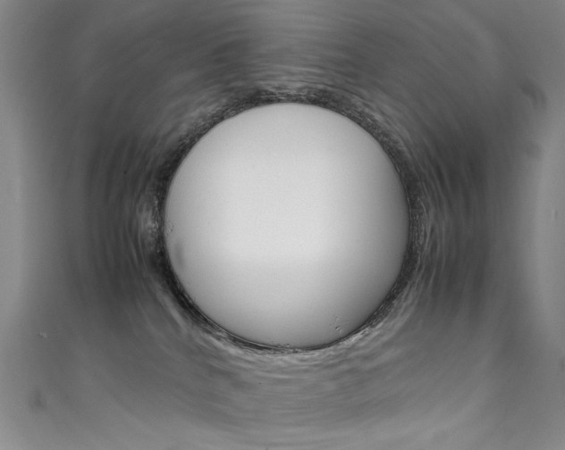 X0000111660040200907171129