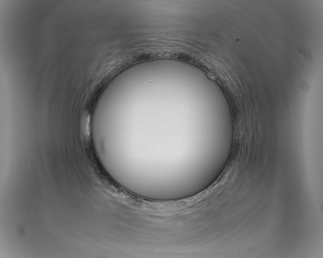 X0000111660041200907171129