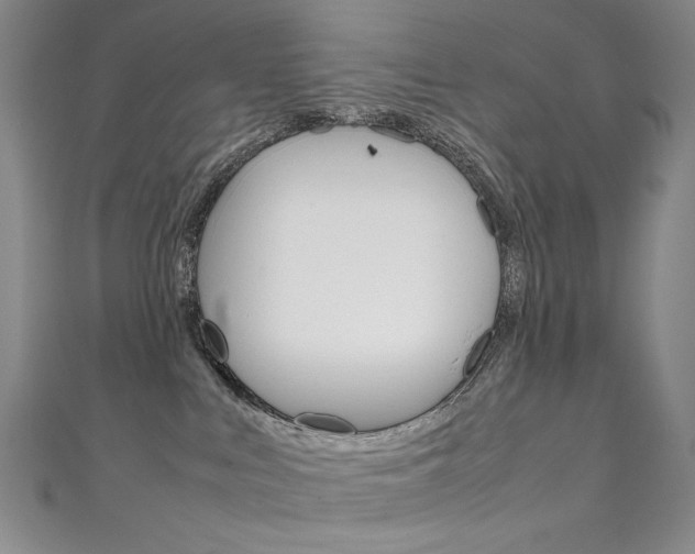 X0000111660043200907171129