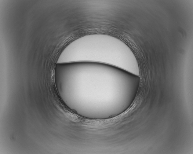 X0000111660045200907171129