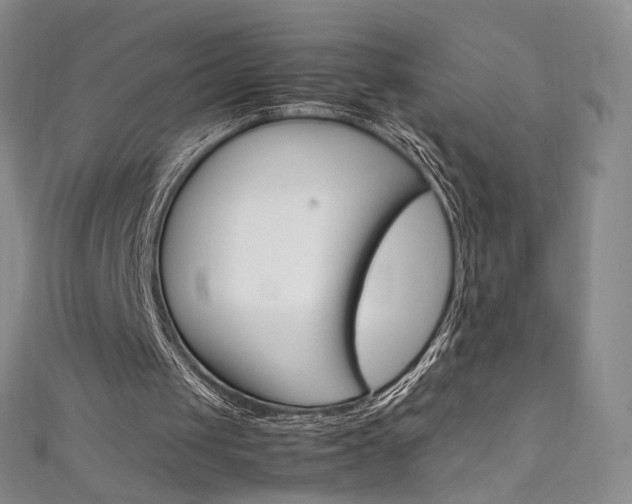 X0000111660049200907171128