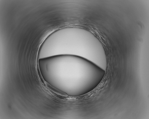 X0000111660052200907171128