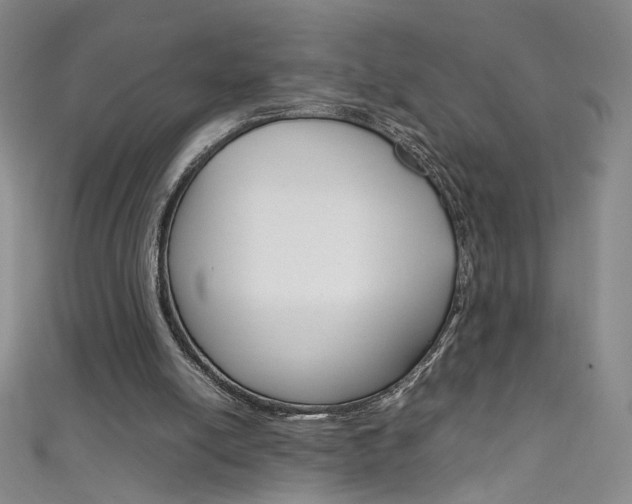 X0000111660054200907171128