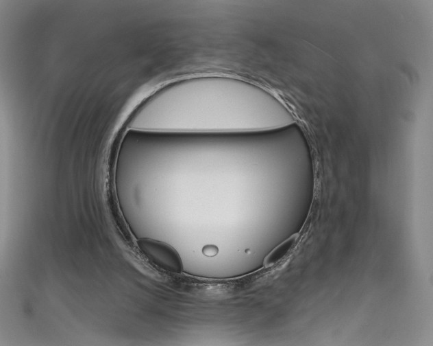X0000111660056200907171128