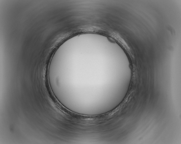 X0000111660058200907171128