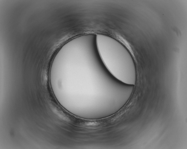 X0000111660059200907171128
