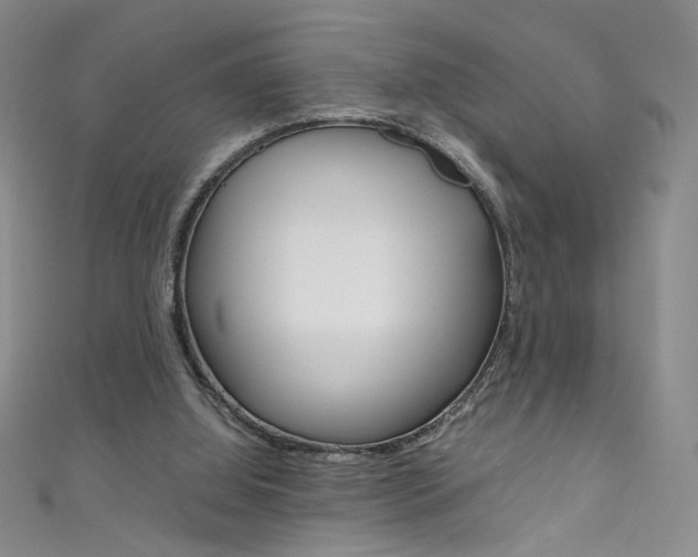 X0000111660060200907171128