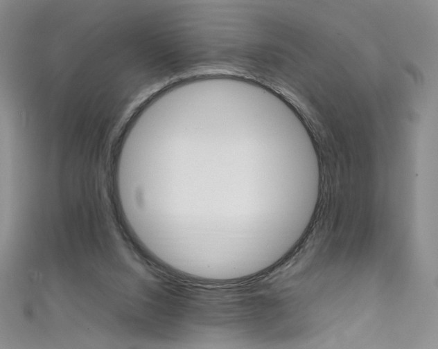 X0000111660064200907171128