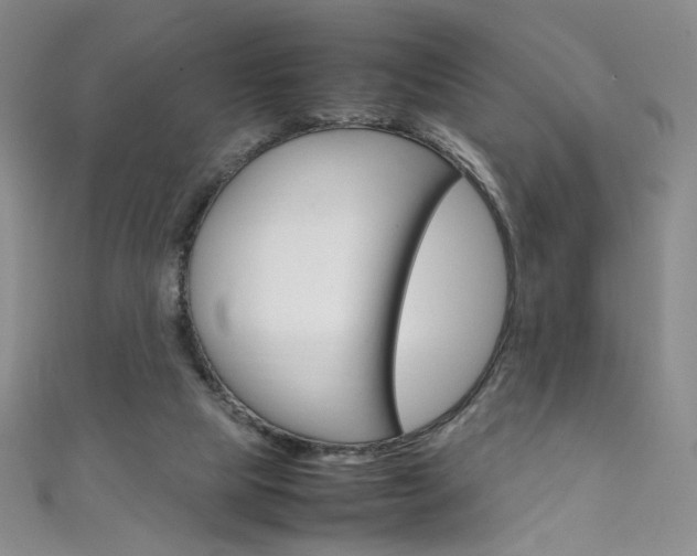 X0000111660065200907171128