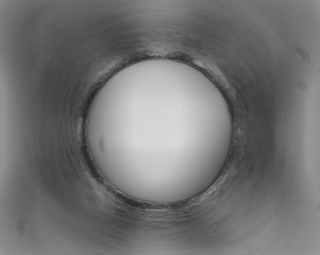 X0000111660066200907171128
