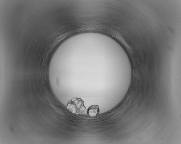 X0000111660068200907171128