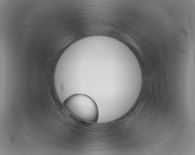 X0000111660076200907171128