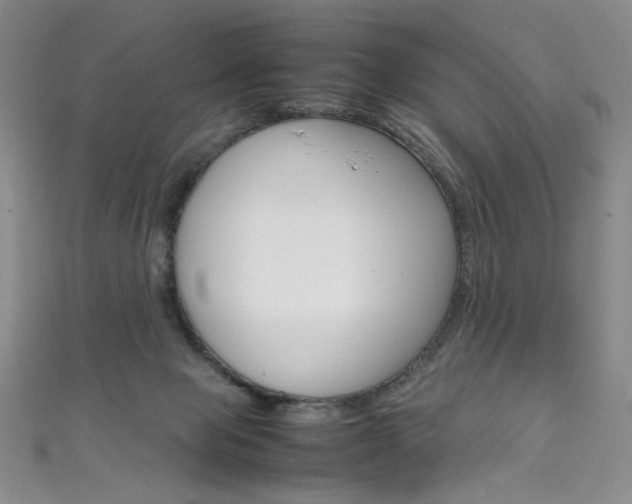 X0000111660077200907171128