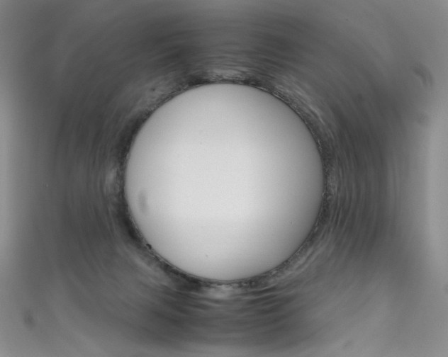X0000111660079200907171128