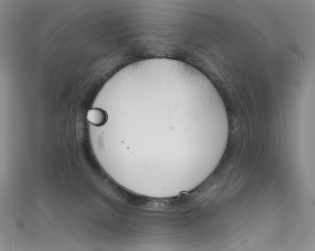 X0000111660080200907171128