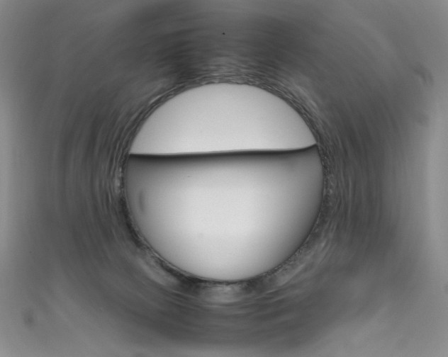 X0000111660081200907171128