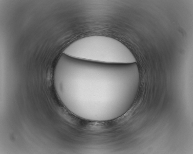 X0000111660082200907171128