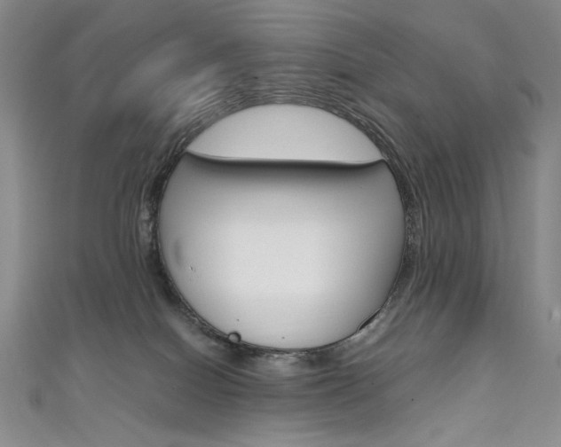X0000111660086200907171128