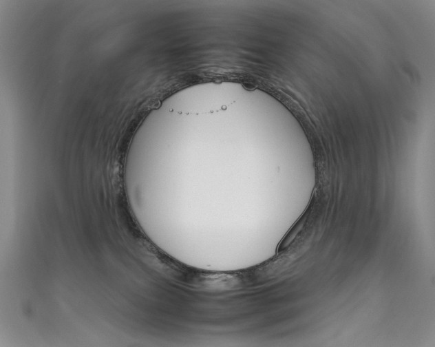 X0000111660087200907171128
