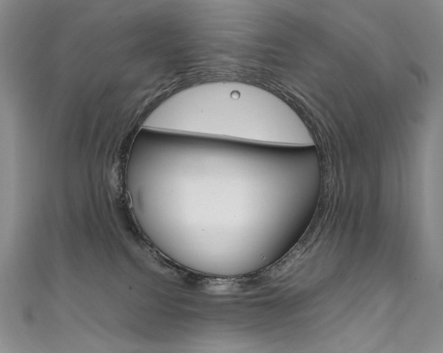 X0000111660088200907171128