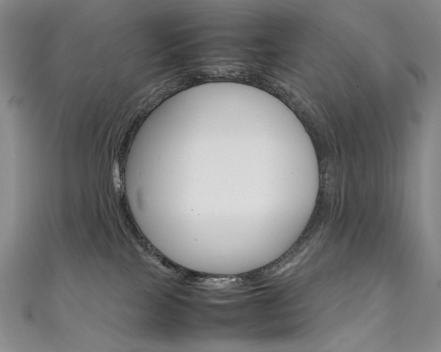 X0000111660089200907171128
