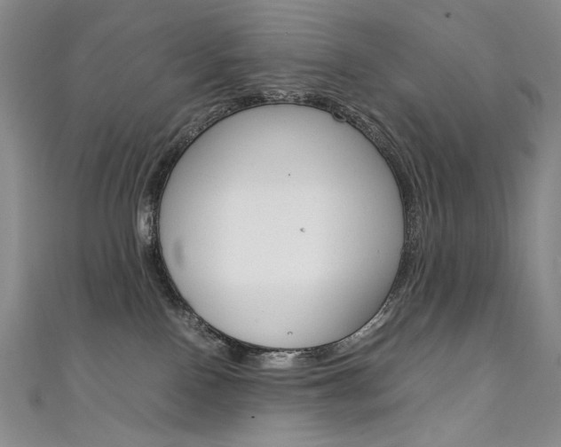 X0000111660090200907171128