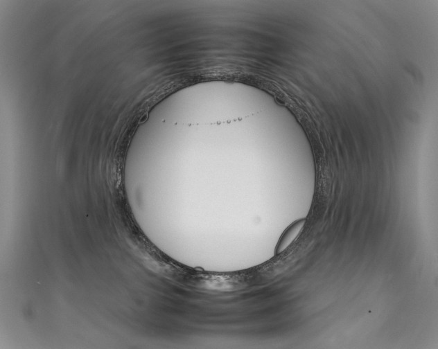 X0000111660091200907171129