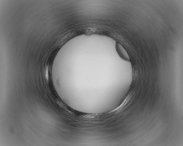 X0000111660094200907171129