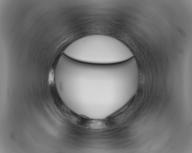 X0000111660095200907171129