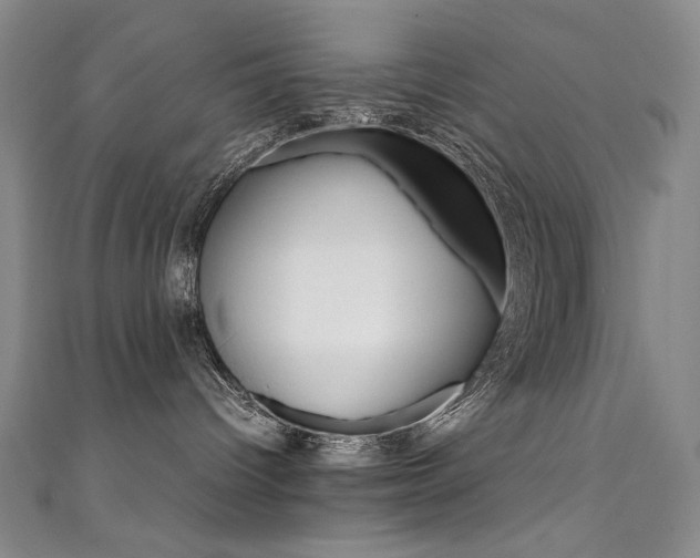 X0000111660096200907171129