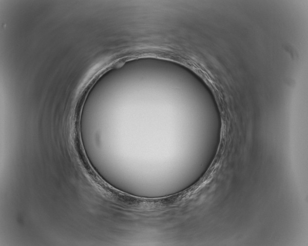 X0000111660101200907171128