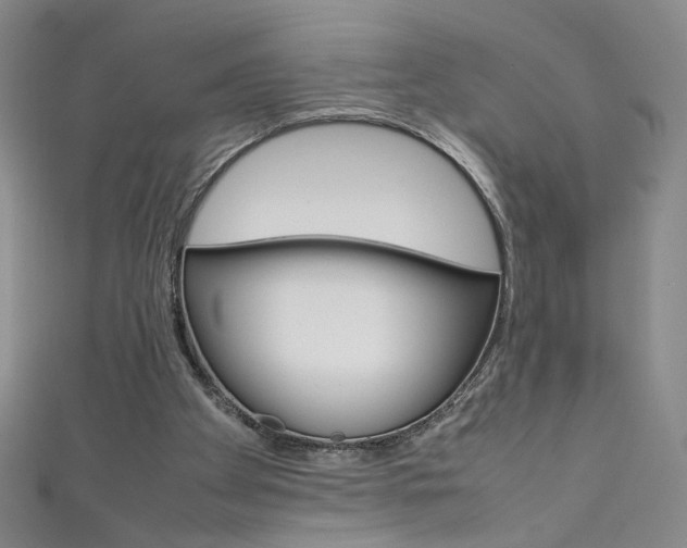 X0000111660105200907171128