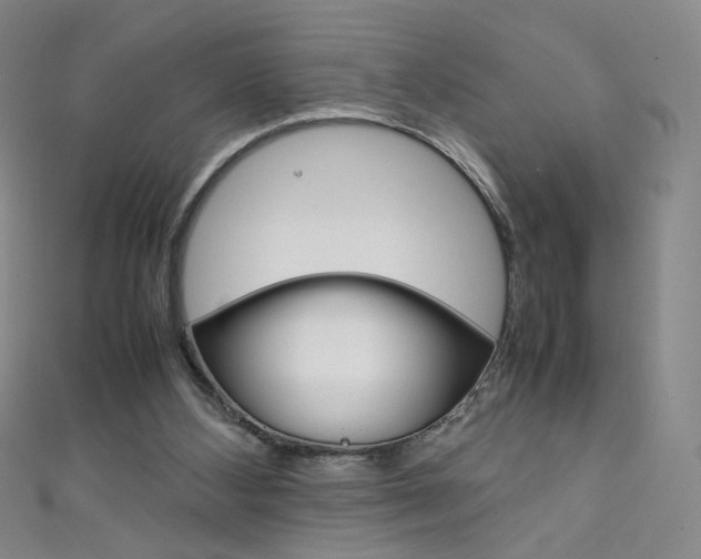 X0000111660108200907171128
