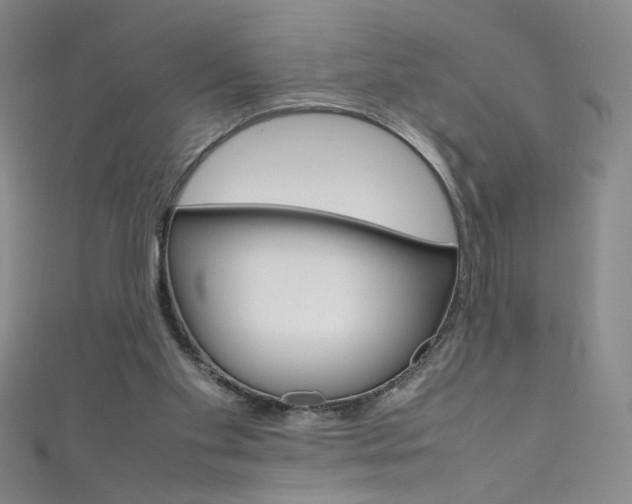 X0000111660109200907171128