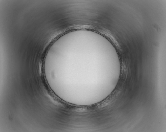 X0000111660110200907171128