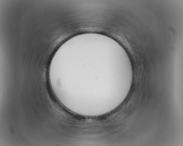 X0000111660111200907171128