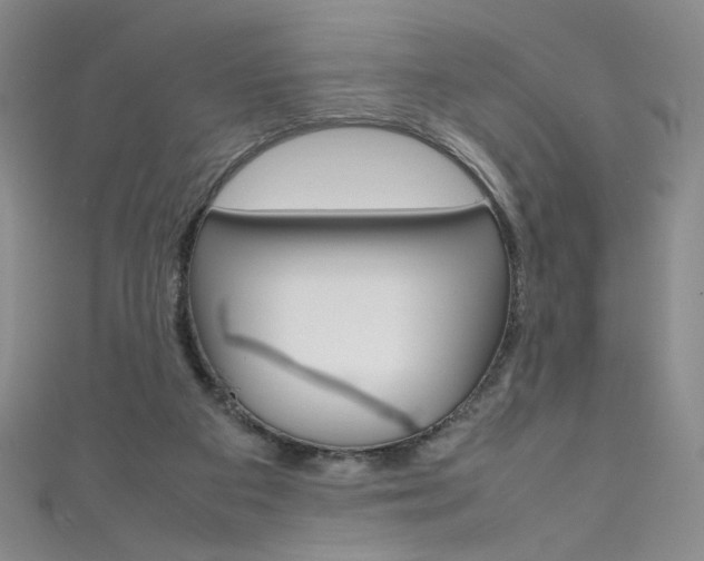 X0000111660113200907171128