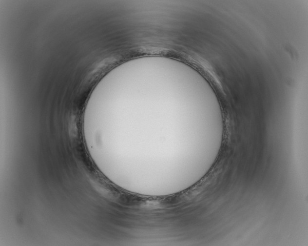 X0000111660114200907171128