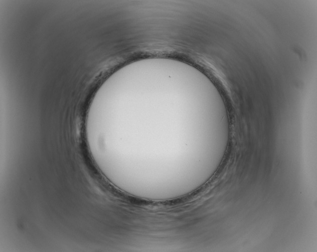 X0000111660115200907171128
