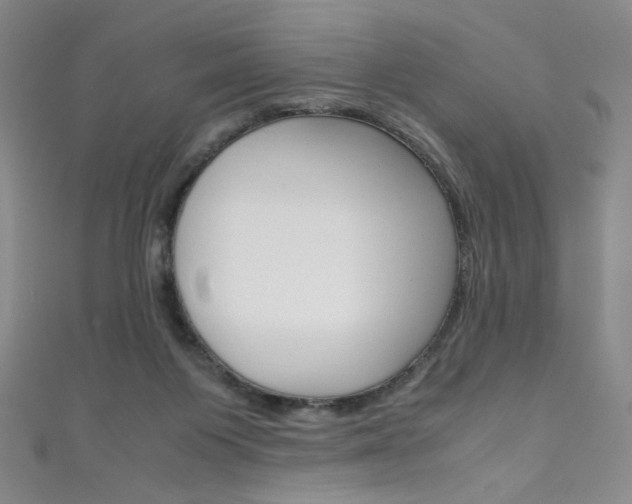 X0000111660119200907171128
