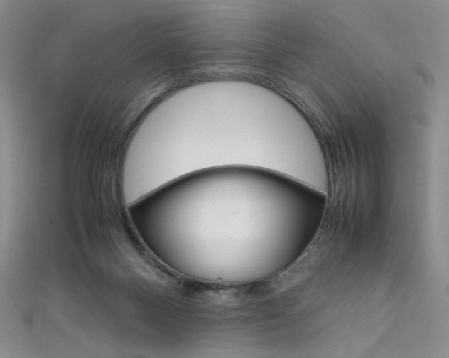 X0000111660120200907171128