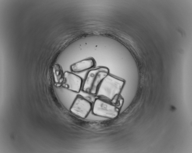 X0000111660121200907171128