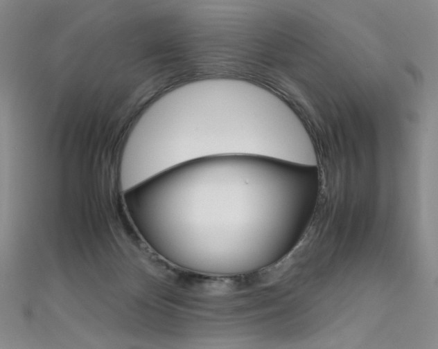 X0000111660124200907171128