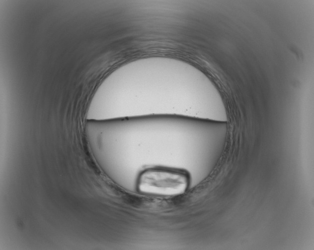 X0000111660125200907171128